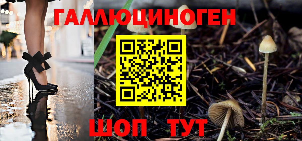 Галлюциногенные грибы Psilocybe Орехово-Зуево